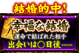 結婚的中！幸福な結婚　運命で結ばれた相手　出会いは○日後……